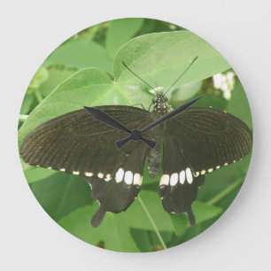 Common Mormon Butterfly Wall Clock Grote Klok