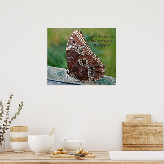Common Morpho Butterfly Poster (Keuken)