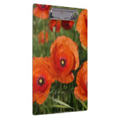 Common Poppies  Klembord (Rechts)