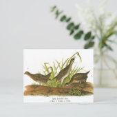 Common Rail Briefkaart (Staand voorkant)