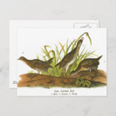 Common Rail Briefkaart (Voorkant / Achterkant)