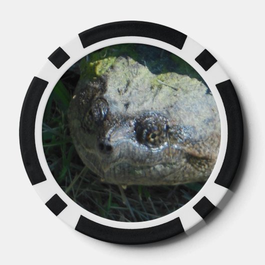 Common Snapper Turtle Poker Chips (Achterkant)