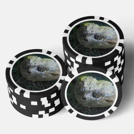 Common Snapper Turtle Poker Chips (Opstapeling)