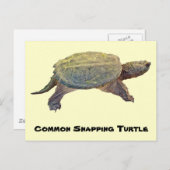 Common Snapping Turtle - Chelydra serpentina Briefkaart (Voorkant / Achterkant)