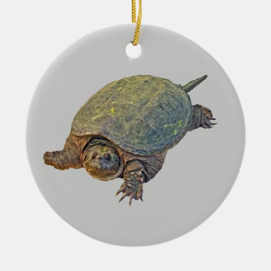 Common Snapping Turtle - Chelydra serpentina Keramisch Ornament (Voorkant)
