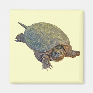 Common Snapping Turtle - Chelydra serpentina Magneet