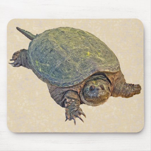 Common Snapping Turtle - Chelydra serpentina Muismat (Voorkant)