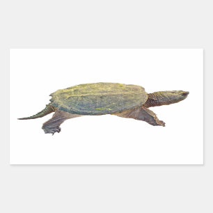 Common Snapping Turtle - Chelydra serpentina Rechthoekige Sticker