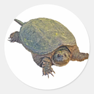 Common Snapping Turtle - Chelydra serpentina Ronde Sticker
