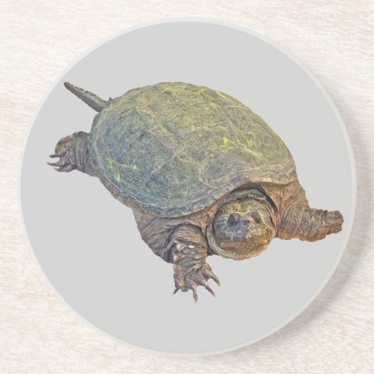 Common Snapping Turtle - Chelydra serpentina Zandsteen Onderzetter (Voorkant)