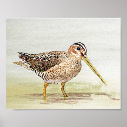 Common Snipe Poster (Voorkant)