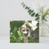 Common Squirrel Monkey Briefkaart (Staand voorkant)