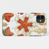 Common Starfish Design Case-Mate iPhone Case (Achterkant (horizontaal))