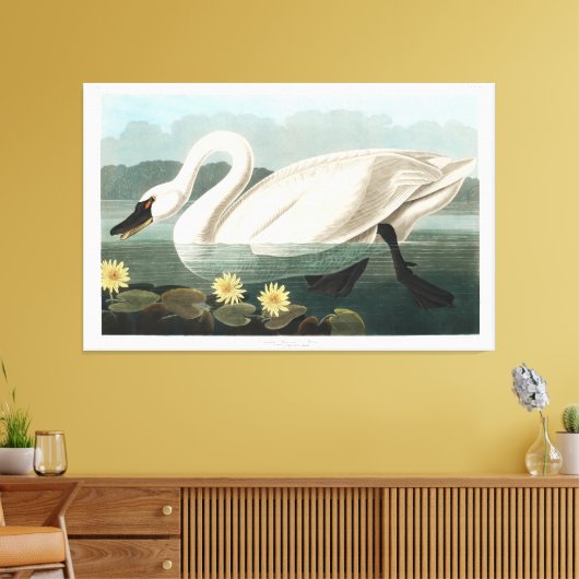 Common Swan Canvas Afdruk (Insitu (Woonkamer))