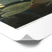 Common Swan Canvas Poster (Hoek)