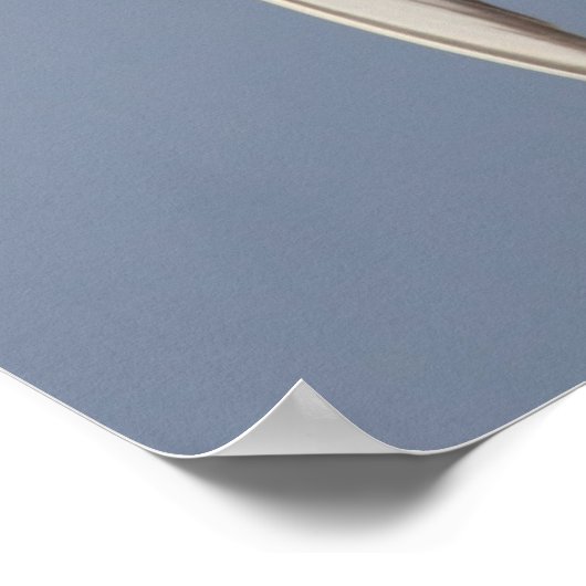 Common Tern Poster (Hoek)