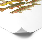 Common Trout Art Poster (Hoek)