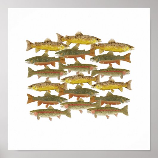 Common Trout Art Poster (Voorkant)