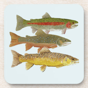 Common Trout Onderzetters