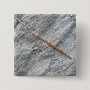 Common Walking tick (Diapheromera femorata) Items Vierkante Button 5,1 Cm