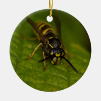 Common Wasp Keramisch Ornament