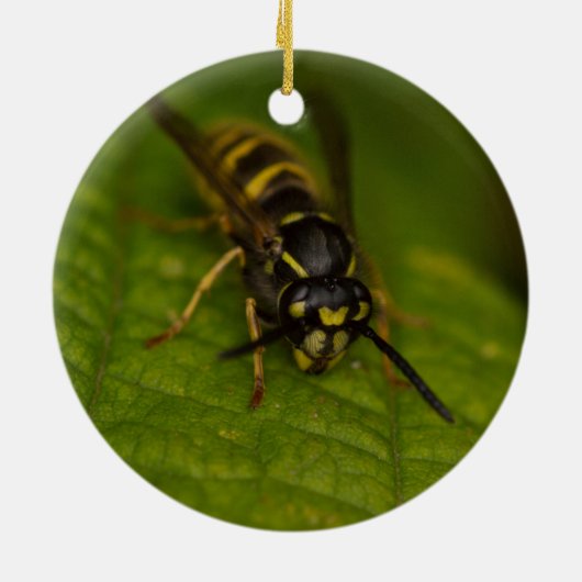Common Wasp Keramisch Ornament (Achterkant)