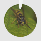 Common Wasp Ornament (voorkant)