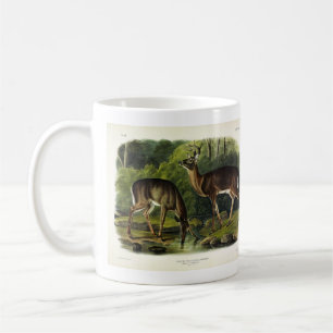 Common (White-tailed) Deer - Audubon Quadrupeds Koffiemok