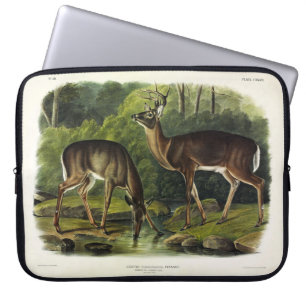 Common (White-tailed) Deer - Audubon Quadrupeds Laptop Sleeve