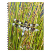 Common Whitetail Skimmer Dragonfly Foto Notitieboek (Voorkant)