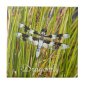 Common Whitetail Skimmer Dragonfly Foto Tegeltje (Voorkant)