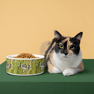 Common Whitetail Skimmer Dragonfly Foto Voerbakje