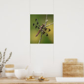 Common Whitetail Skimmer Dragonfly Vrouw. Poster (Keuken)