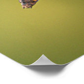 Common Whitetail Skimmer Dragonfly Vrouw. Poster (Hoek)