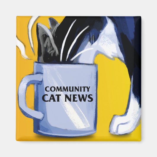 Communauté carré Actualités en Chat Magnet (Devant)