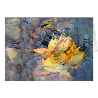 Communauté par Cynthia Wenslow