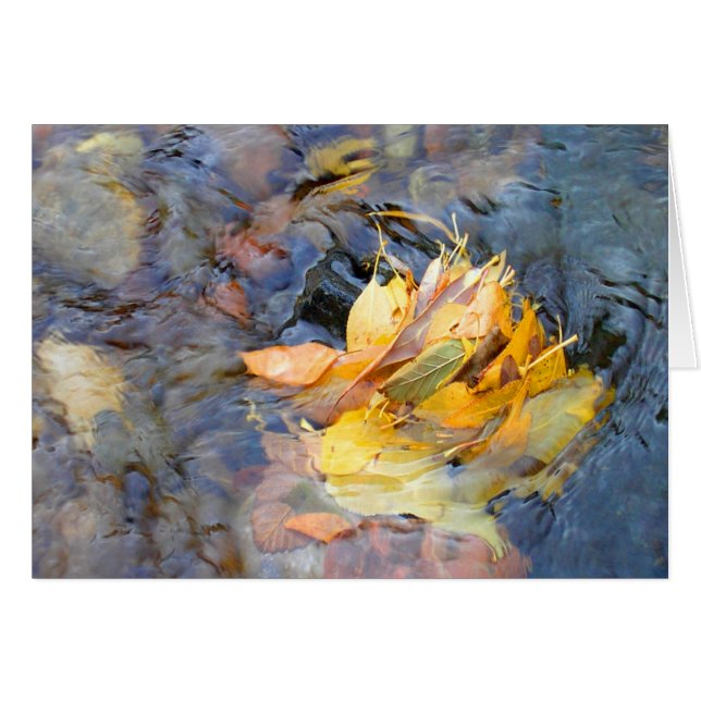 Communauté par Cynthia Wenslow (Devant horizontal)