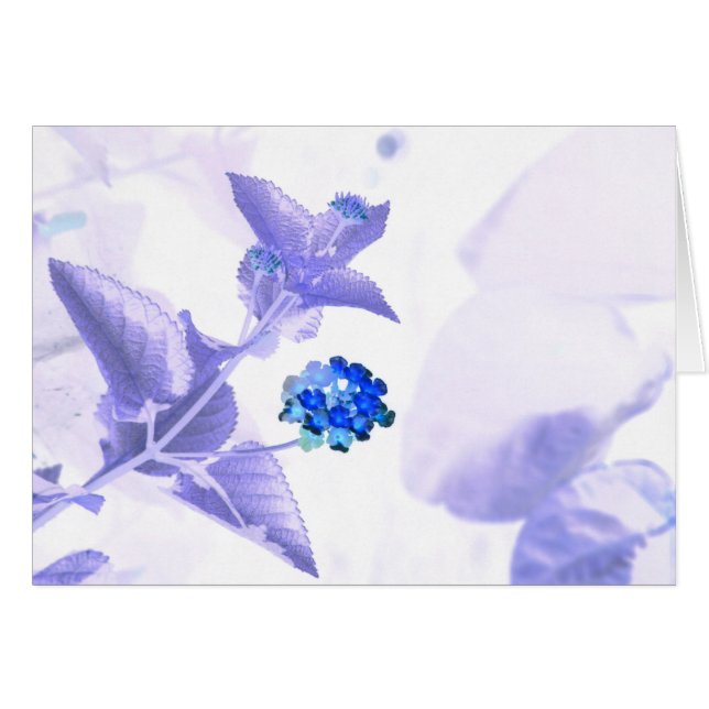 Communicatie GC (Voorkant Horizontaal)