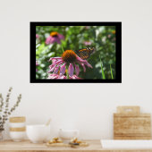 Como Park Butterfly Poster (Keuken)