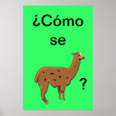 "Cómo se llama" ? Affiche (Devant)