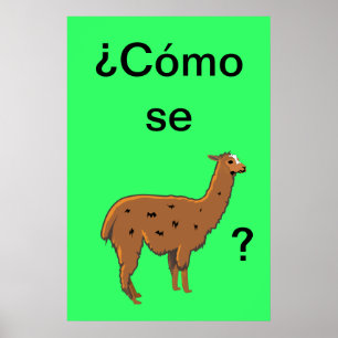 "Cómo se llama" ? Affiche
