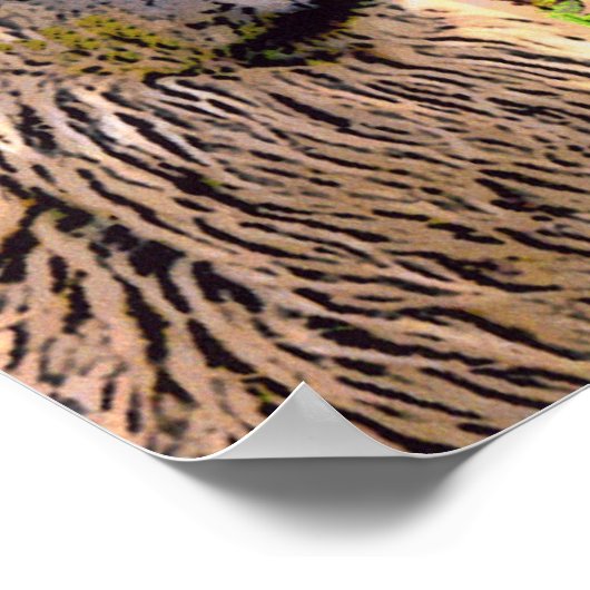 'Como se llama? Poster (Hoek)