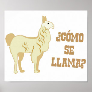 Como Se Llama? Wat is jouw naam? Poster