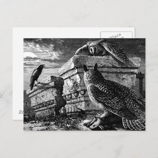 Compagnon aux chouettes carte postale (Devant / Derrière)