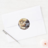 Comparing Apples and Oranges Stickers (Enveloppe)