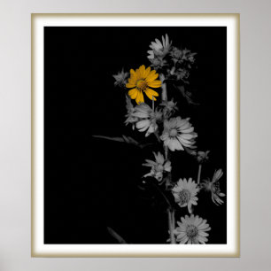 Compass Flower Print