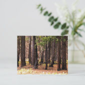 Compassie doet ertoe briefkaart (Staand voorkant)