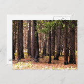 Compassie doet ertoe briefkaart (Voorkant / Achterkant)