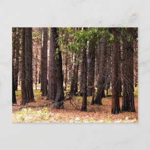 Compassie doet ertoe briefkaart