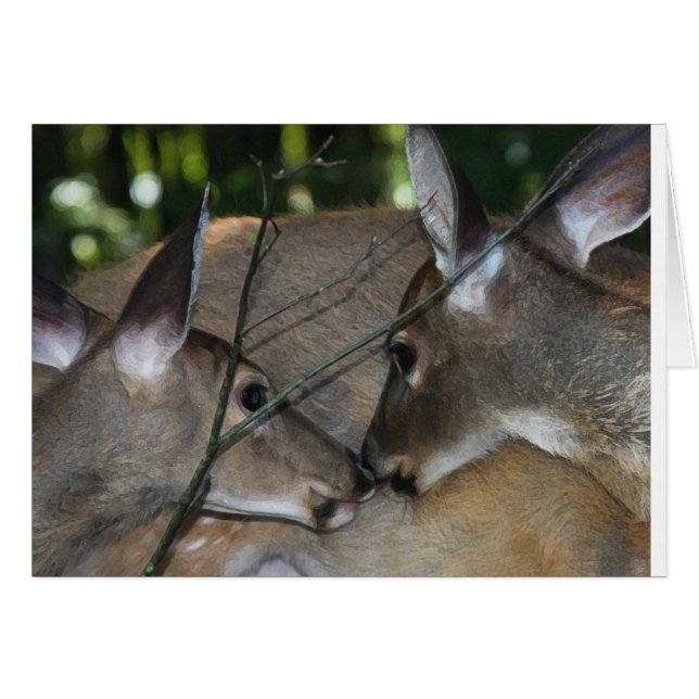 Compassie en respect voor Natuur (Voorkant Horizontaal)